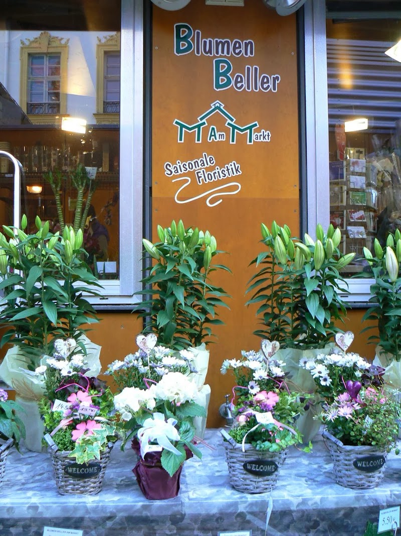 Blumen bei Beller