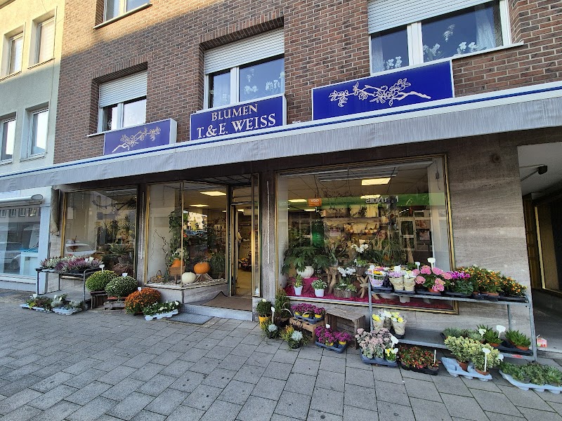 Florist Weiss