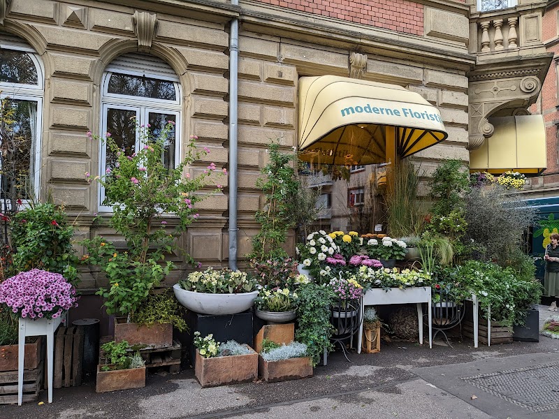 Blumen Dürr