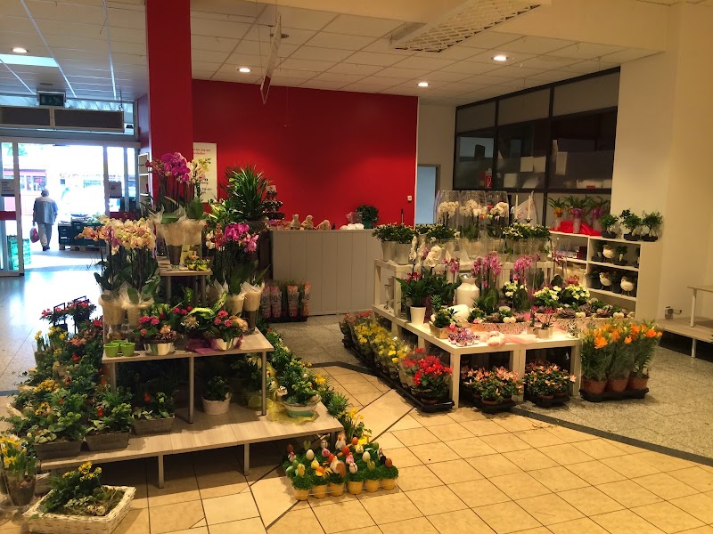 Blumen Gebr. Spangenberg Duisburg