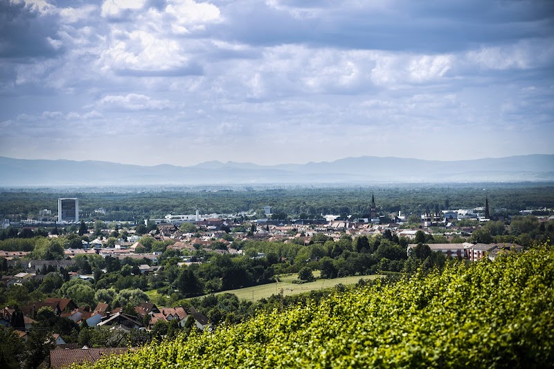Stadt Offenburg
