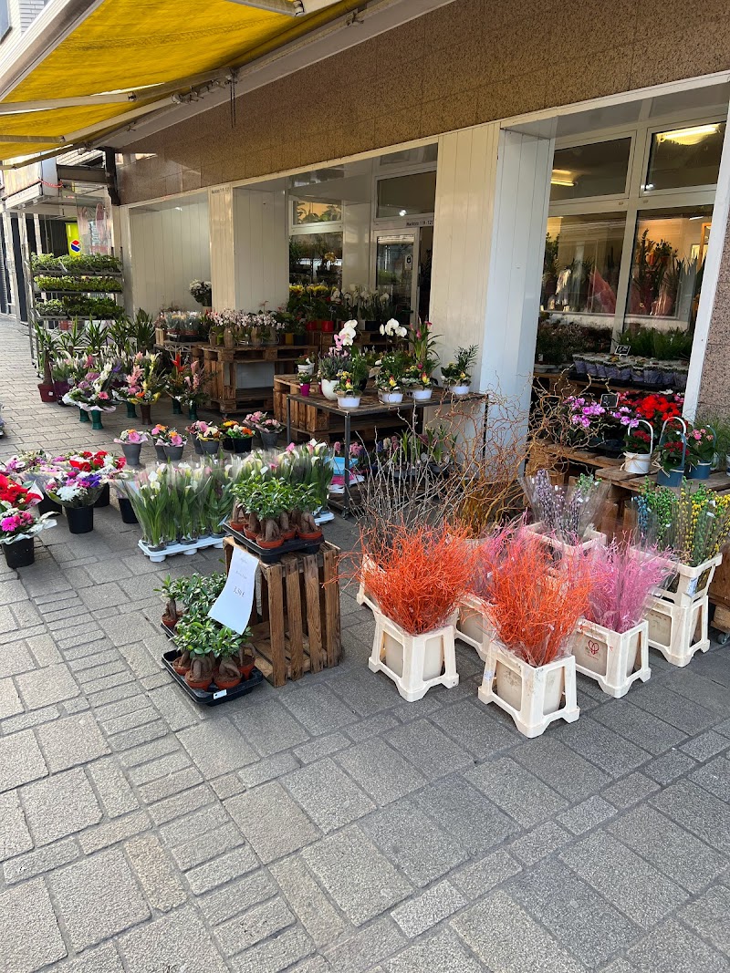 Der Blumenmann