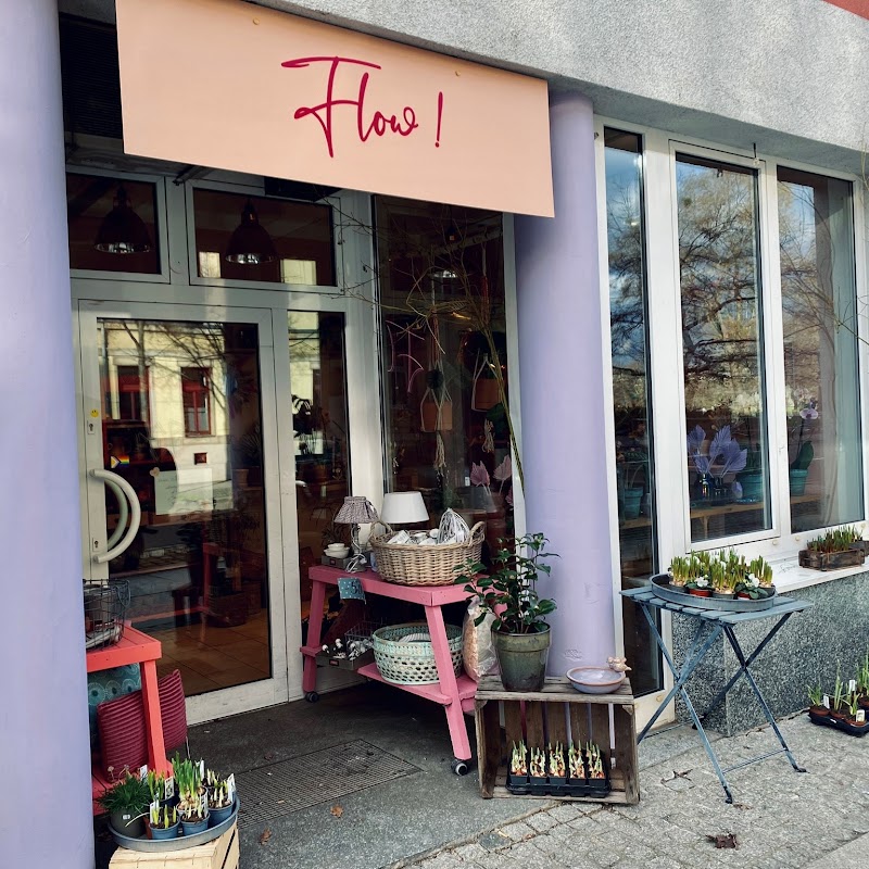 Flow - dein nachhaltiger Blumenladen