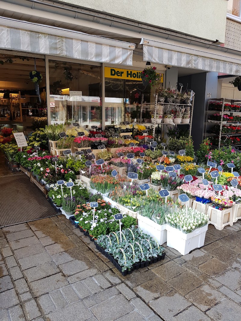 Blumen der Holländer