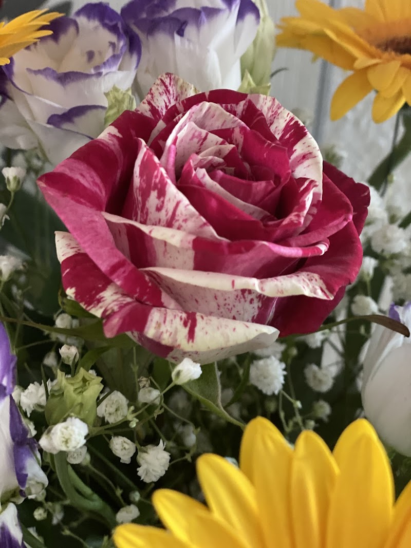 Blumen-Bienert