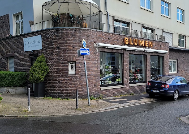 Blumen Pusteblume | Blumen in Essen