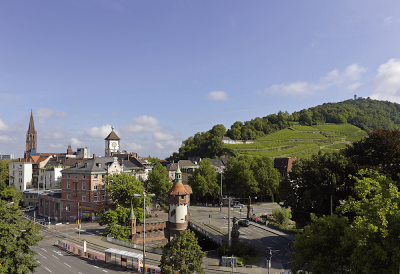 Staatsweingut Freiburg