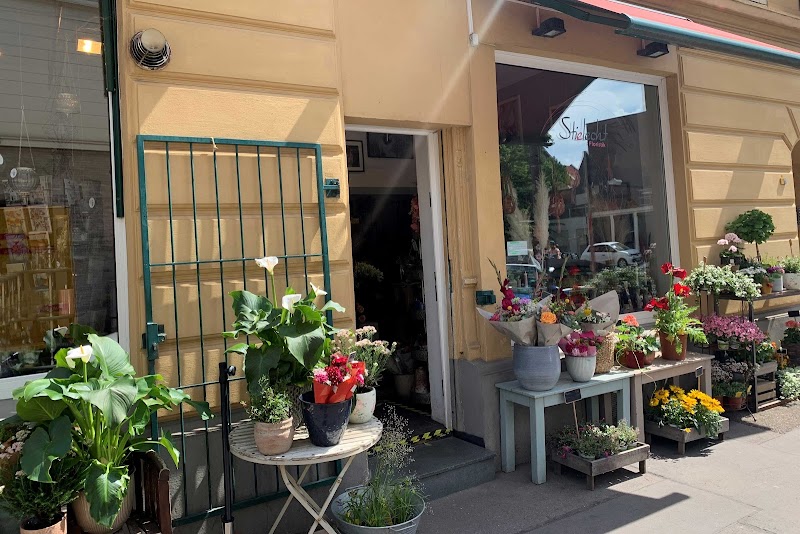 Stielecht Floristik | Blumen, Pflanzen und Hochzeitsfloristik Köln