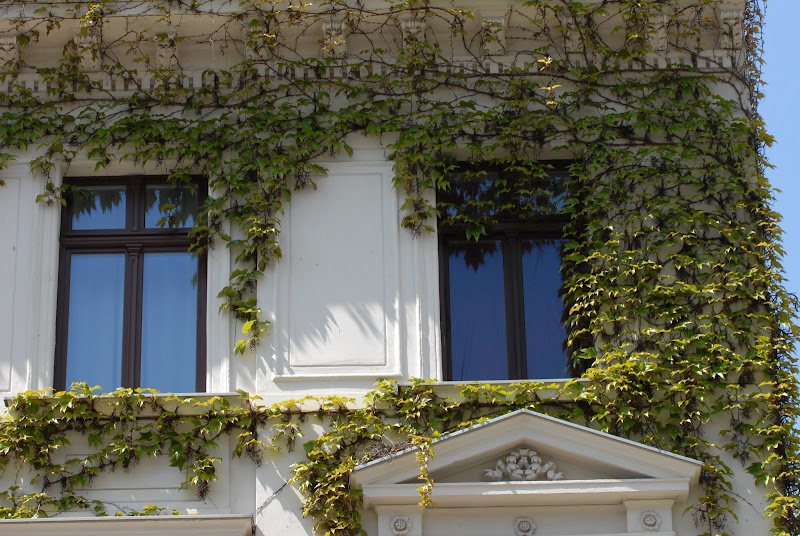 Pension Am Südplatz
