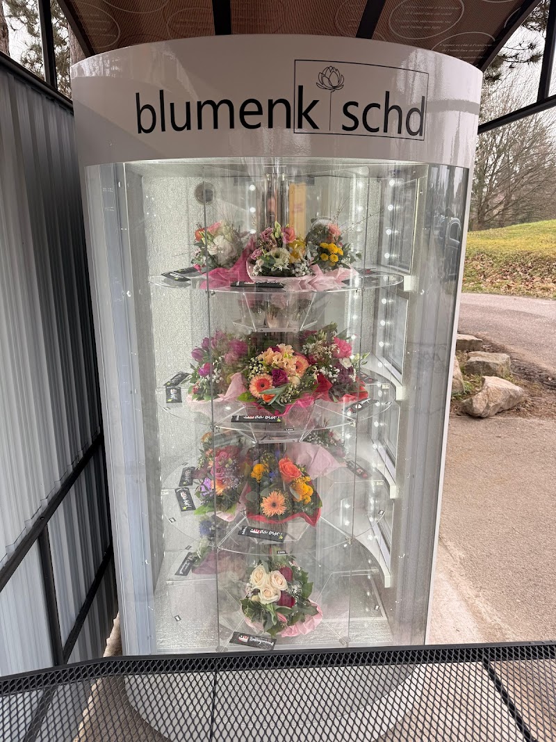 blumenkischd
