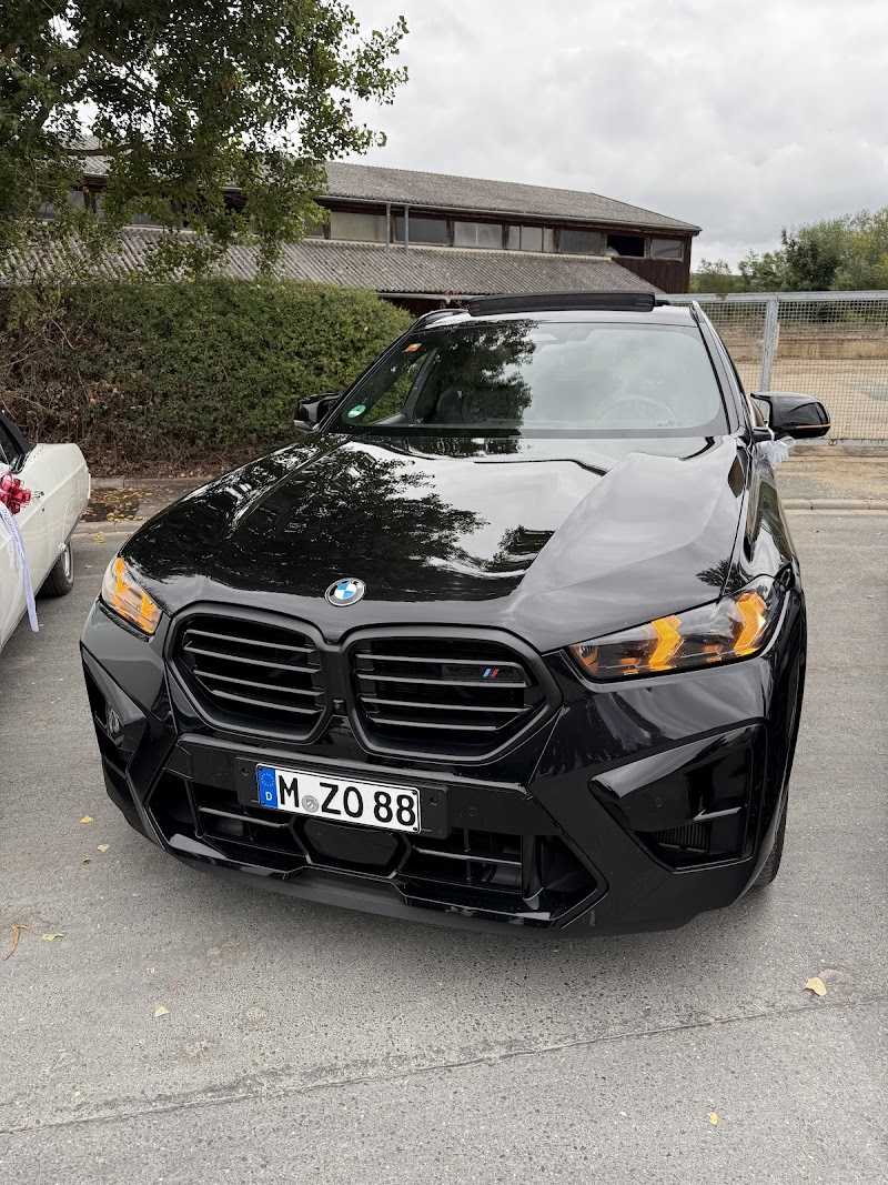 Drivelier Ingolstadt