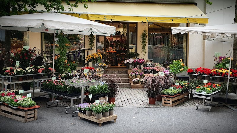 Florales Am Markt