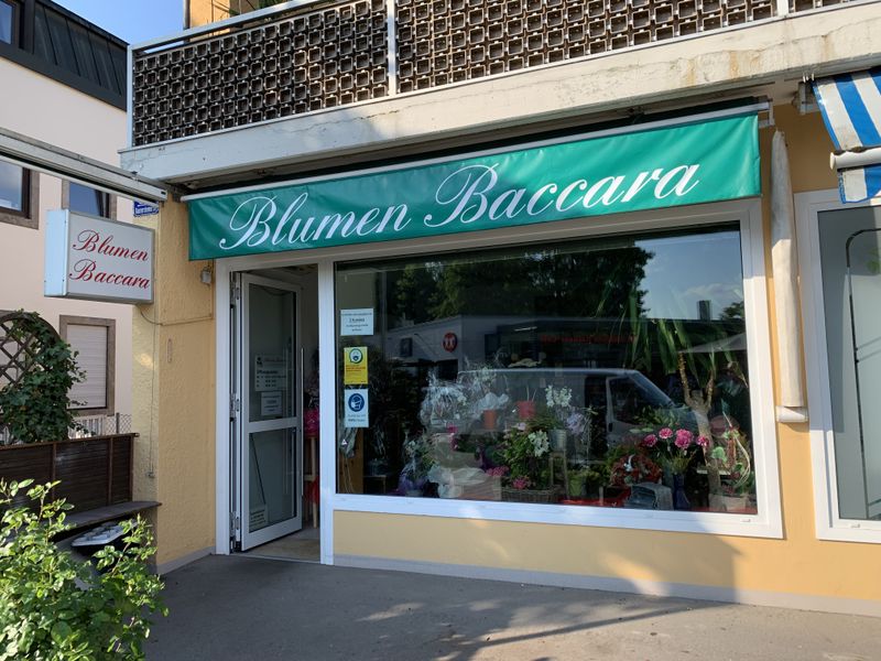 Blumen Baccara Ingolstadt