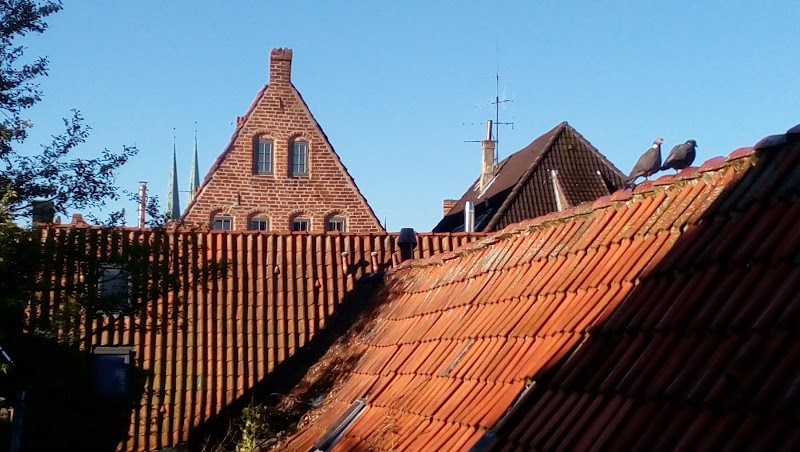 Apartment Friederike