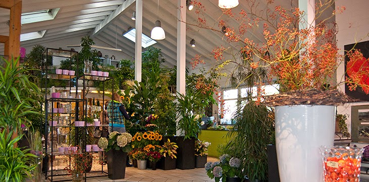 Blumenhaus Markowitz GmbH
