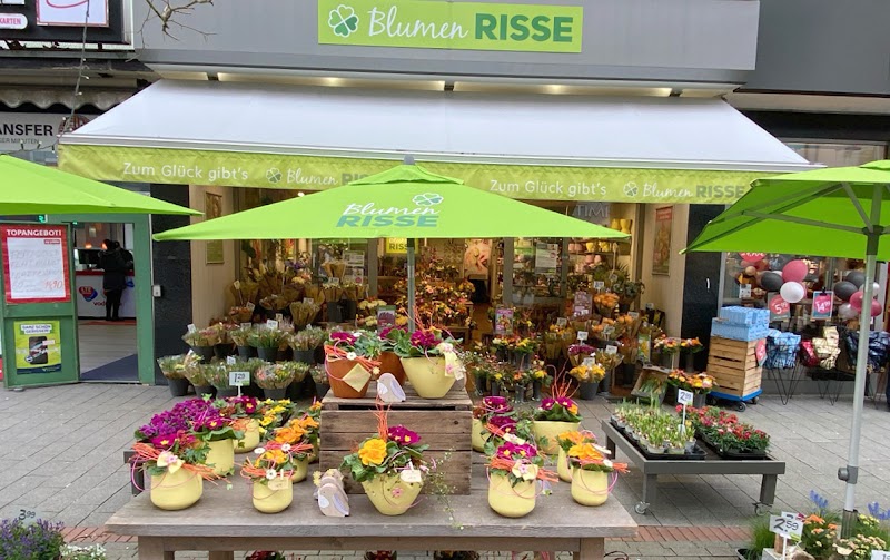 Blumen Risse Blumenladen Gelsenkirchen-Innenstadt