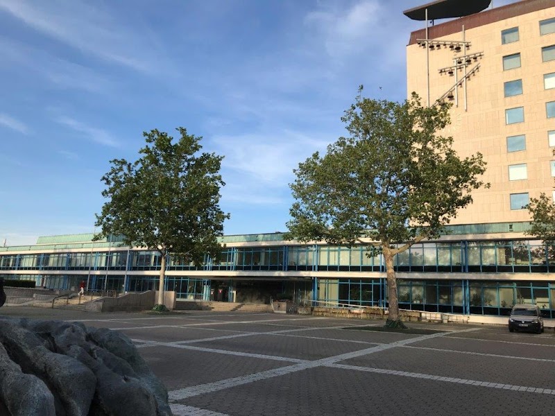 Stadt Wolfsburg