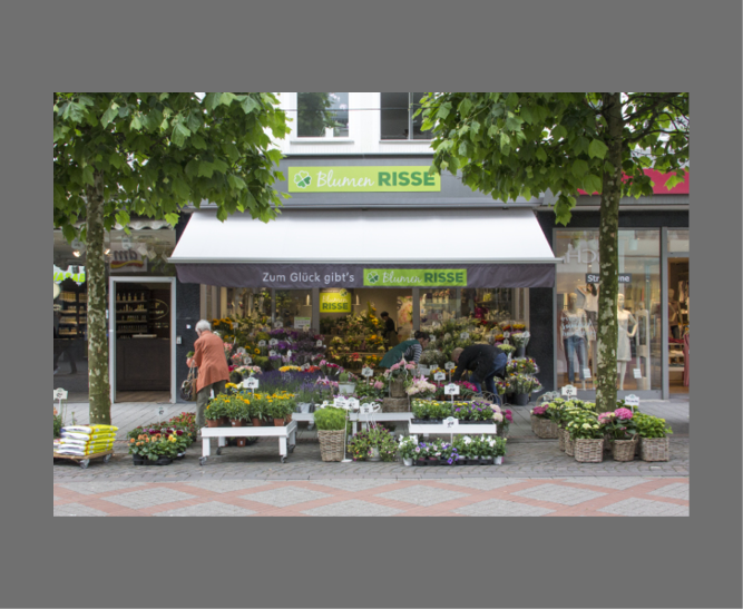 Blumen Risse Blumenladen Bochum-Innenstadt