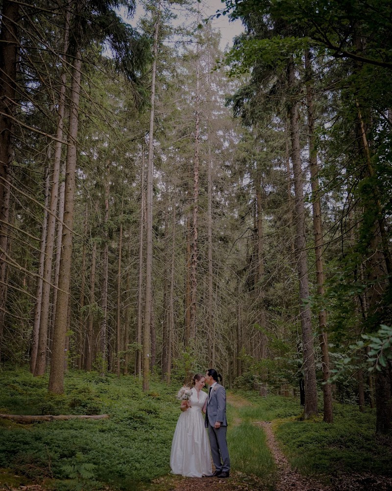 Isabela Artistry | Brautstyling | Makeup & Hair | Hochzeit Fotografie