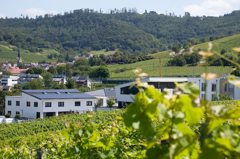 EvenTraum-Ebringen