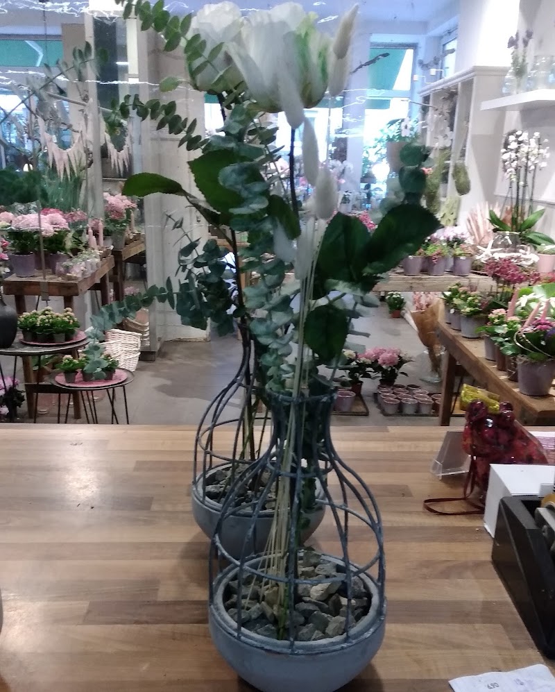 Floristika