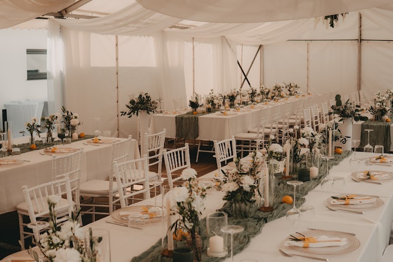 Studio-Dekor - Hochzeit in Paderborn, Hochzeitsdekoration, Floristik, Stuhlverleih, Dekoverleih