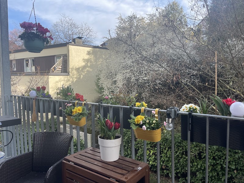 Blumen Vaitsopoulos