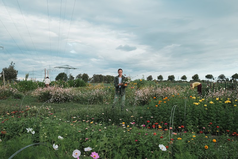 Bei den Blumen - Slowflowers Dresden