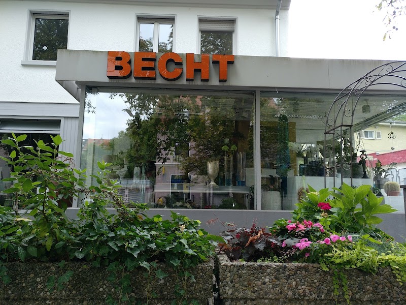 Blumen Becht