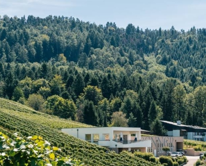 Familien-Weingut Renner