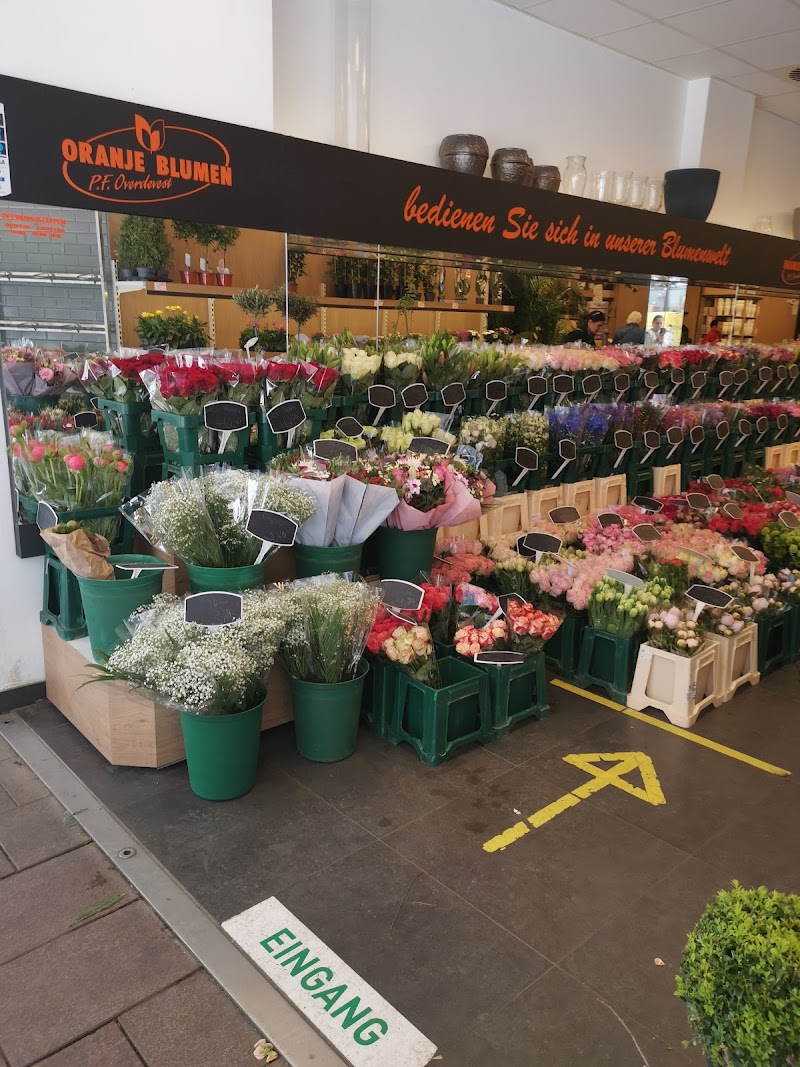 ORANJE BLUMEN