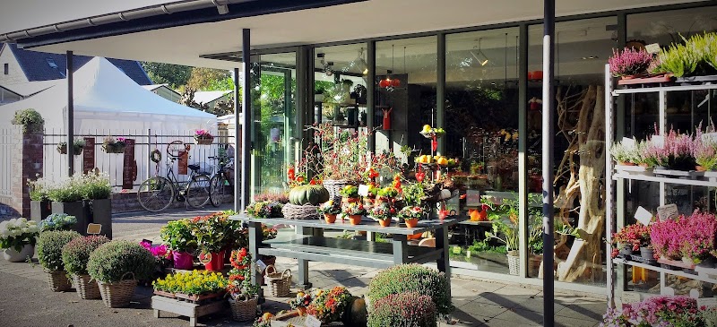 Blumen Kronenberg