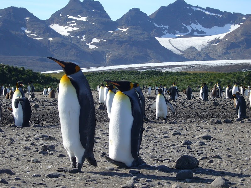 Exklusive Reisen und Meer e.K.