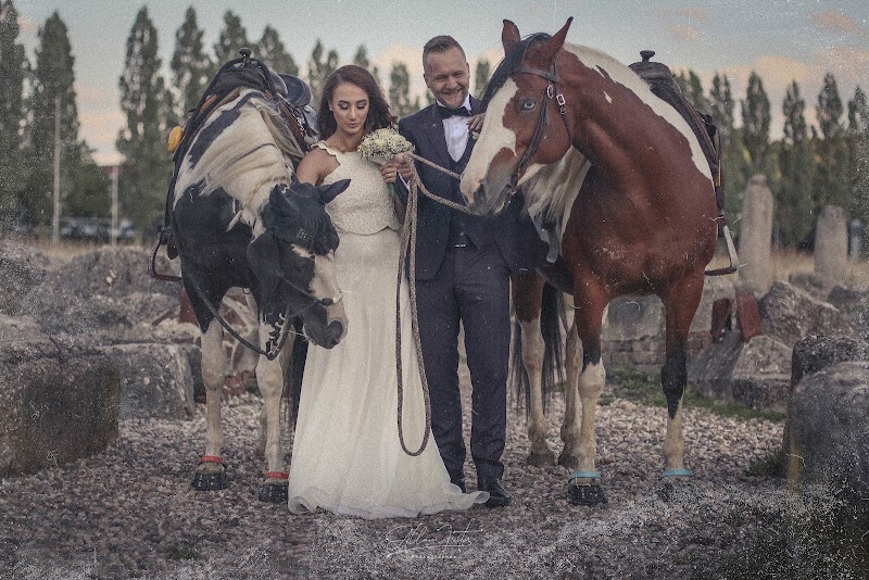 Allan Feitor - Hochzeitsfotograf Berlin