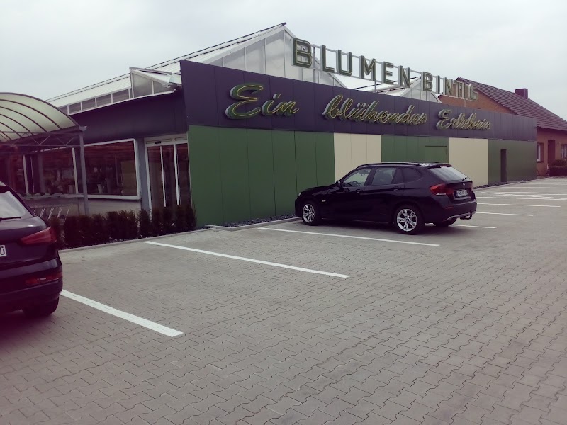 Blumen Bintig GmbH & Co. KG