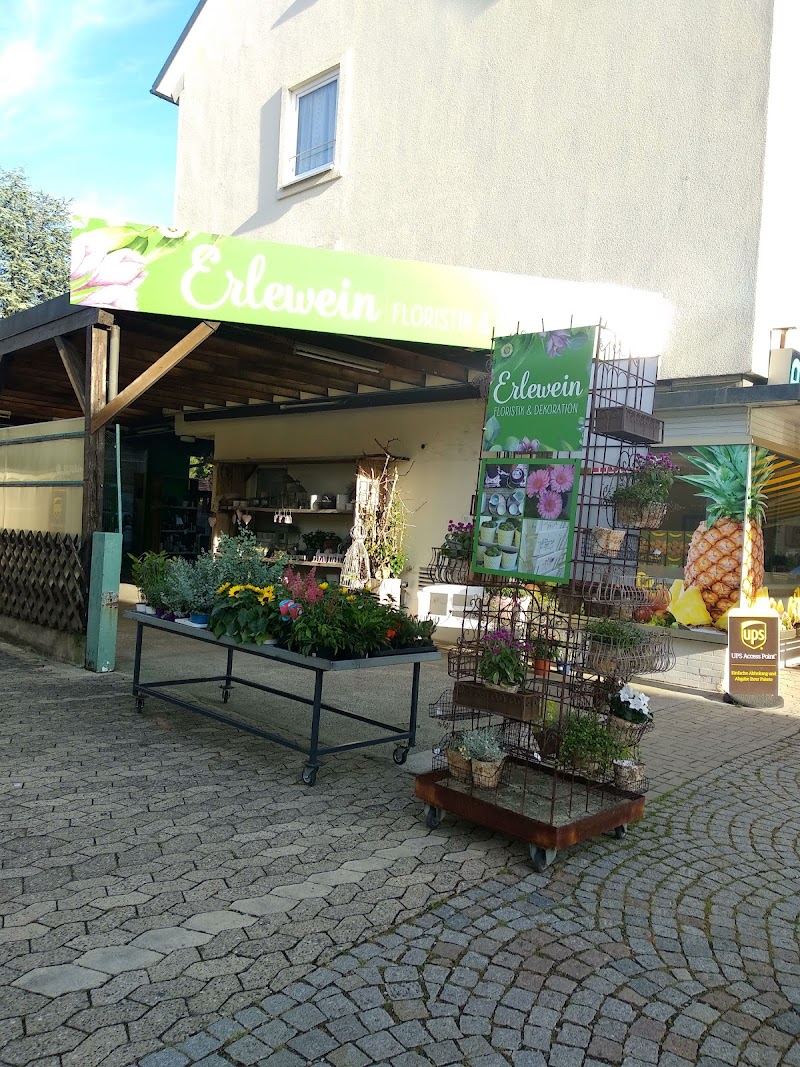 Erlewein Floristik & Dekoration Freiburg