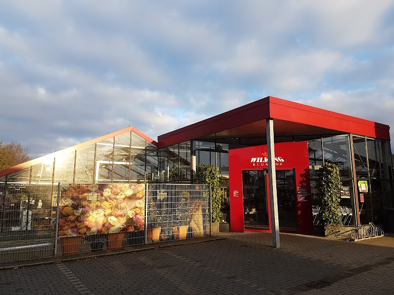 Blumen Wilking GmbH