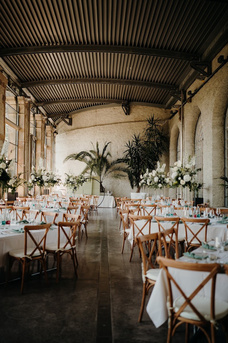 Markus Grein Catering GmbH & Co. KG