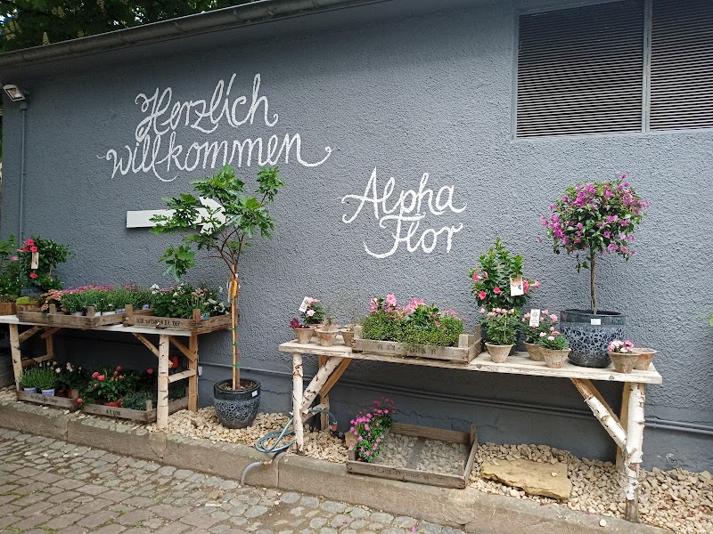 AlphaFlor - Blumen und Pflanzenkultur Freiburg